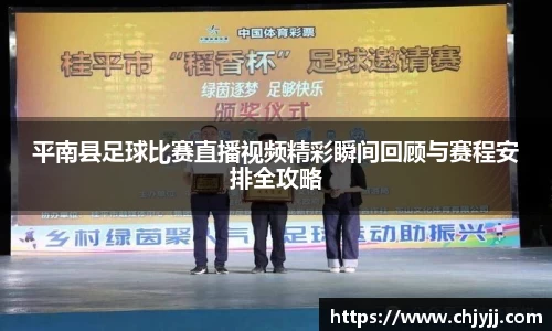 平南县足球比赛直播视频精彩瞬间回顾与赛程安排全攻略